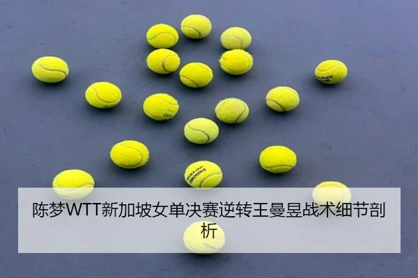 chen-meng-xin-jia-po-nv-dan-jue-sai-ni-zhuan-wang-man-yu-zhan-shu-xi-jie-pou-xi-3-662.jpg